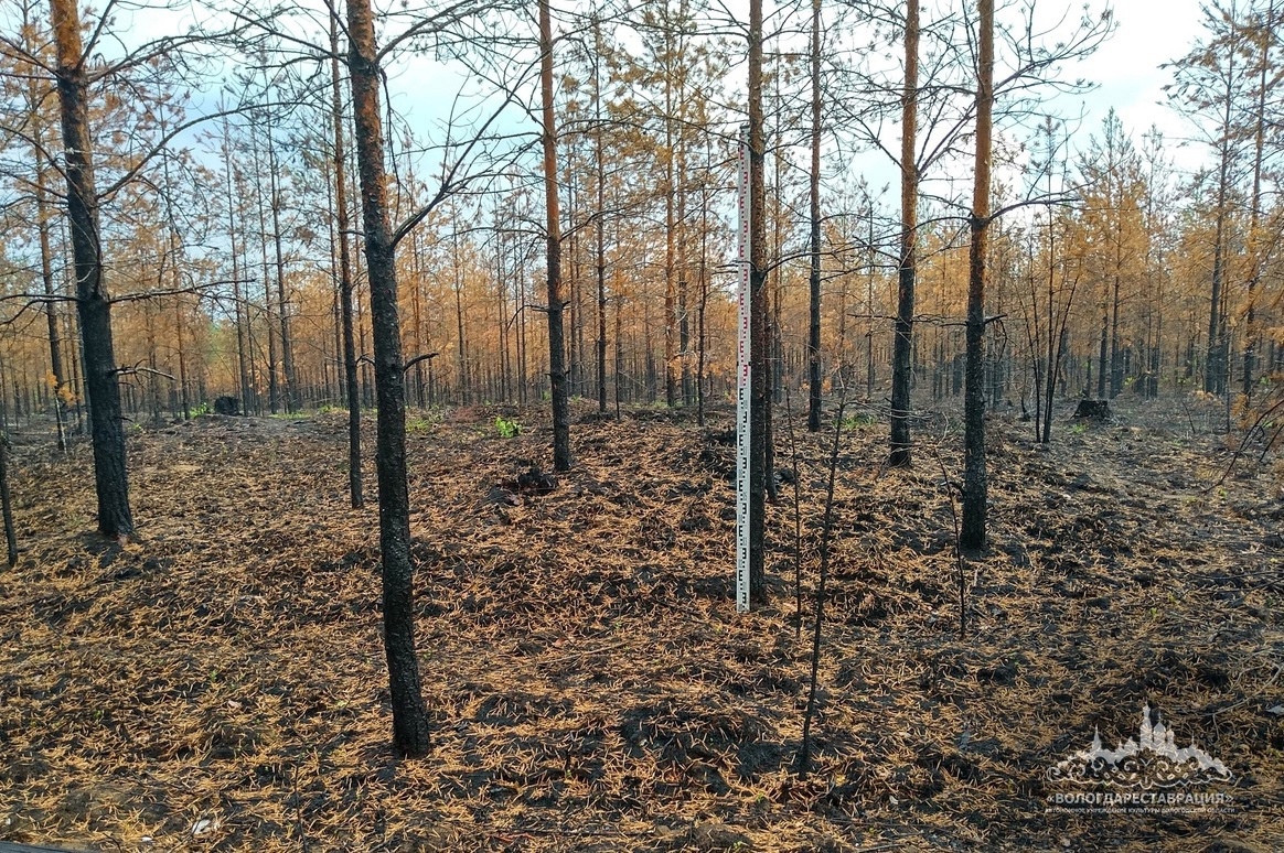 Хочу быть археологом